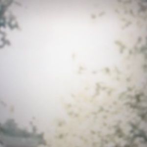 Meet your Posher, Kat